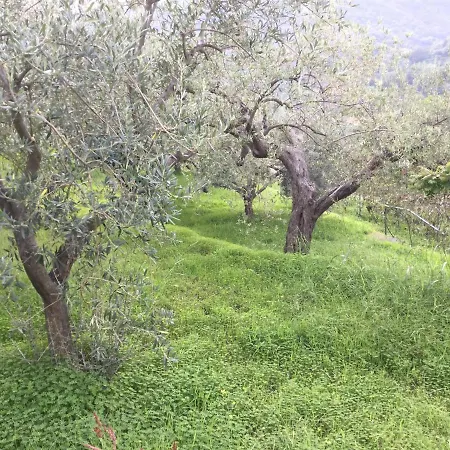 Gole Alcantara Mini Campeggio Privato Campsite *