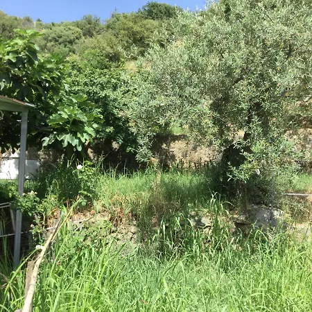 Gole Alcantara Mini Campeggio Privato Campsite Motta Camastra
