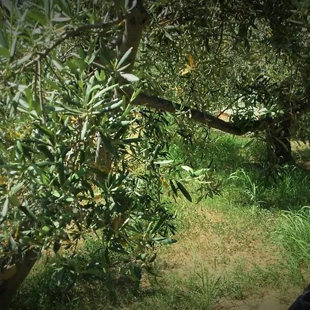 Gole Alcantara Mini Campeggio Privato * Motta Camastra