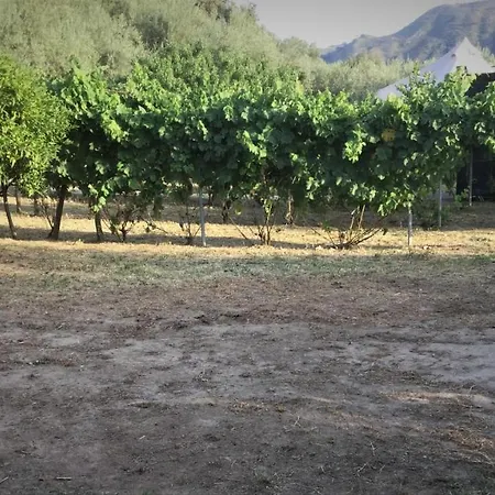 Campsite Gole Alcantara Mini Campeggio Privato