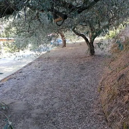 Gole Alcantara Mini Campeggio Privato * Motta Camastra