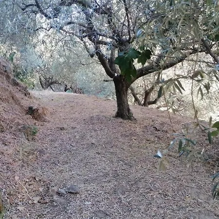 Gole Alcantara Mini Campeggio Privato Campsite